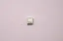 P1088938.webp