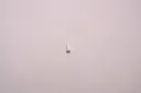P1088943.webp