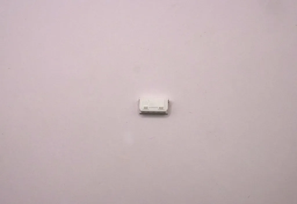 P1088948.webp